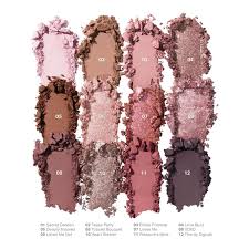 ChromaPlus 12-Pan Eyeshadow Palette