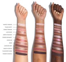 ChromaPlus 12-Pan Eyeshadow Palette