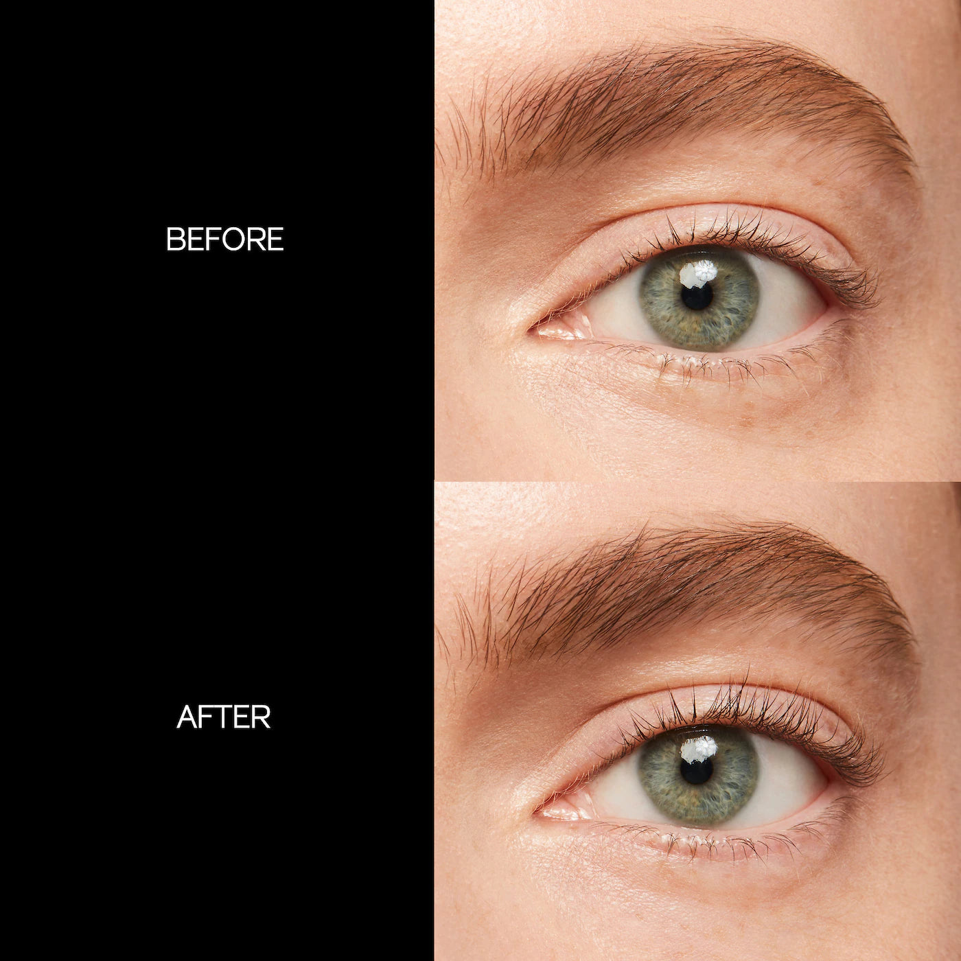 Eyelash Curler