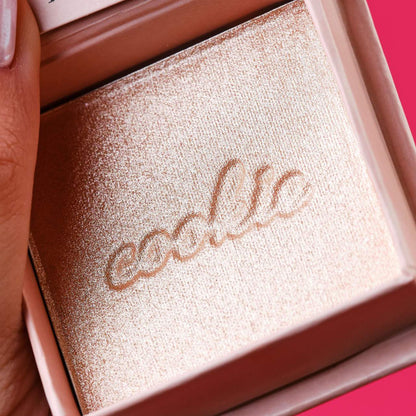 Shimmer Finish Powder Highlighters