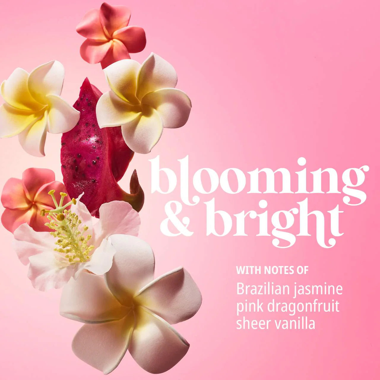Beija Flor™ Body Collagen-Boosting Elasti-Cream with Vegan Collagen and Bio-Retinol