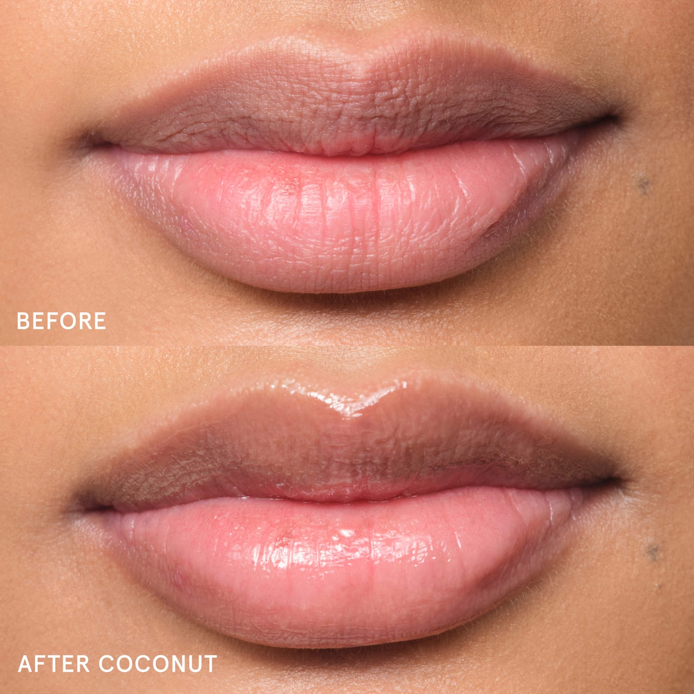 Balm Dotcom Lip Balm and Skin Salve