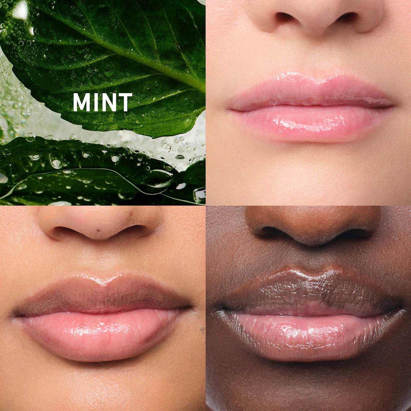 Balm Dotcom Lip Balm and Skin Salve