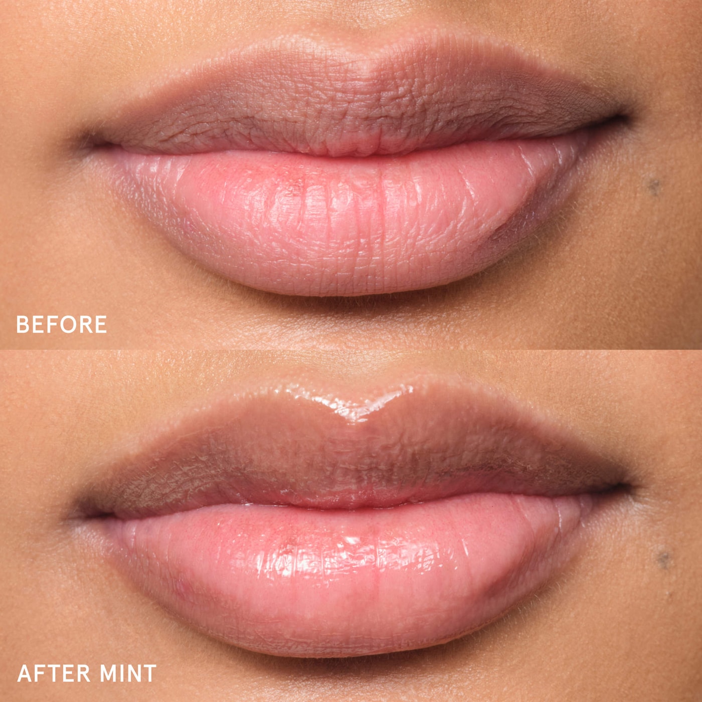 Balm Dotcom Lip Balm and Skin Salve