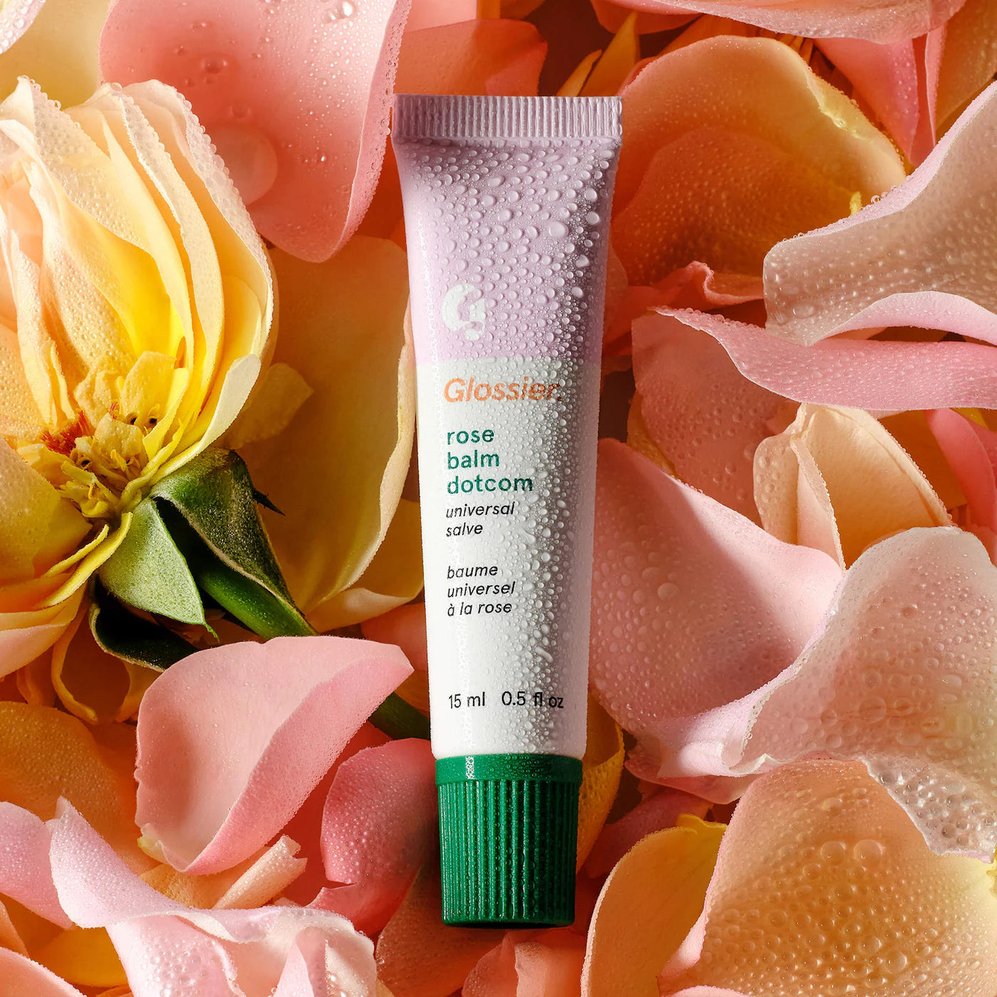 Balm Dotcom Lip Balm and Skin Salve