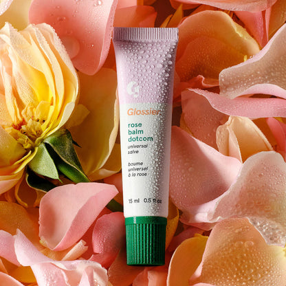 Balm Dotcom Lip Balm and Skin Salve
