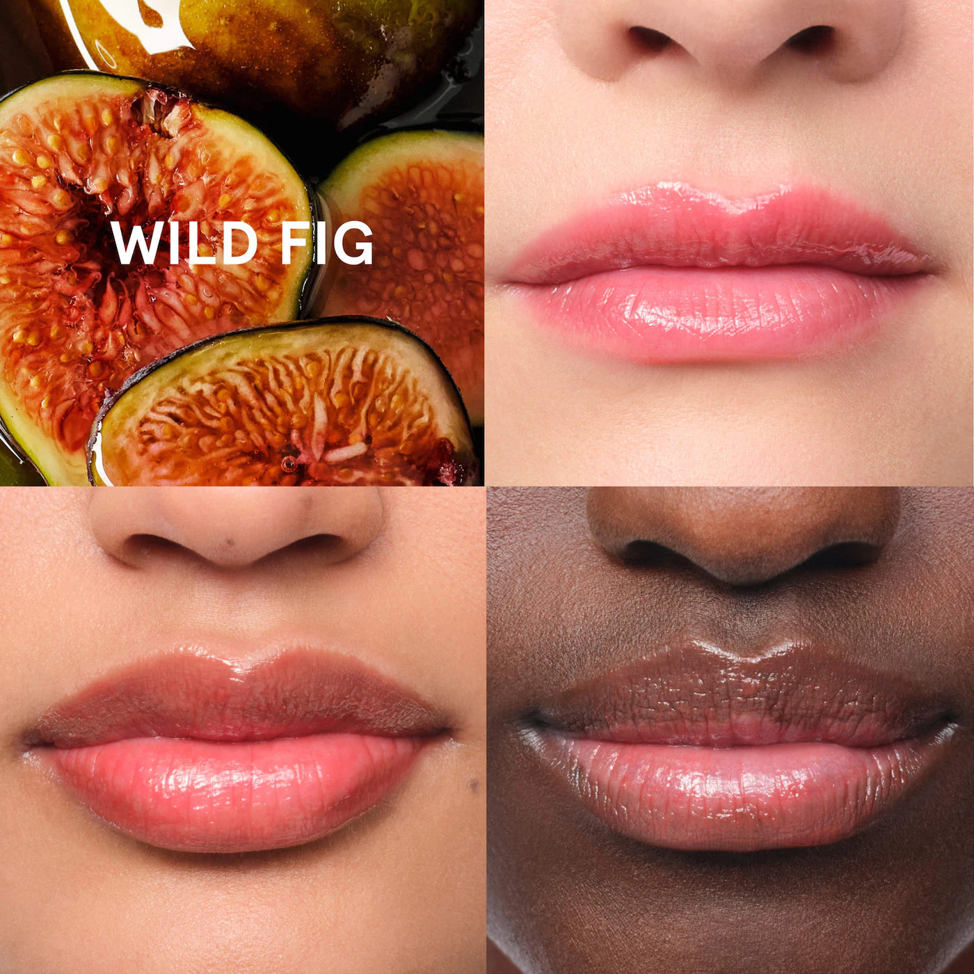 Balm Dotcom Lip Balm and Skin Salve