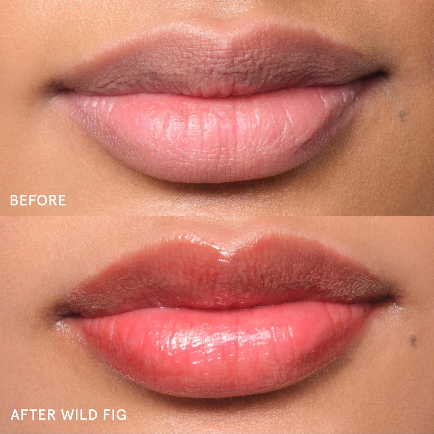 Balm Dotcom Lip Balm and Skin Salve
