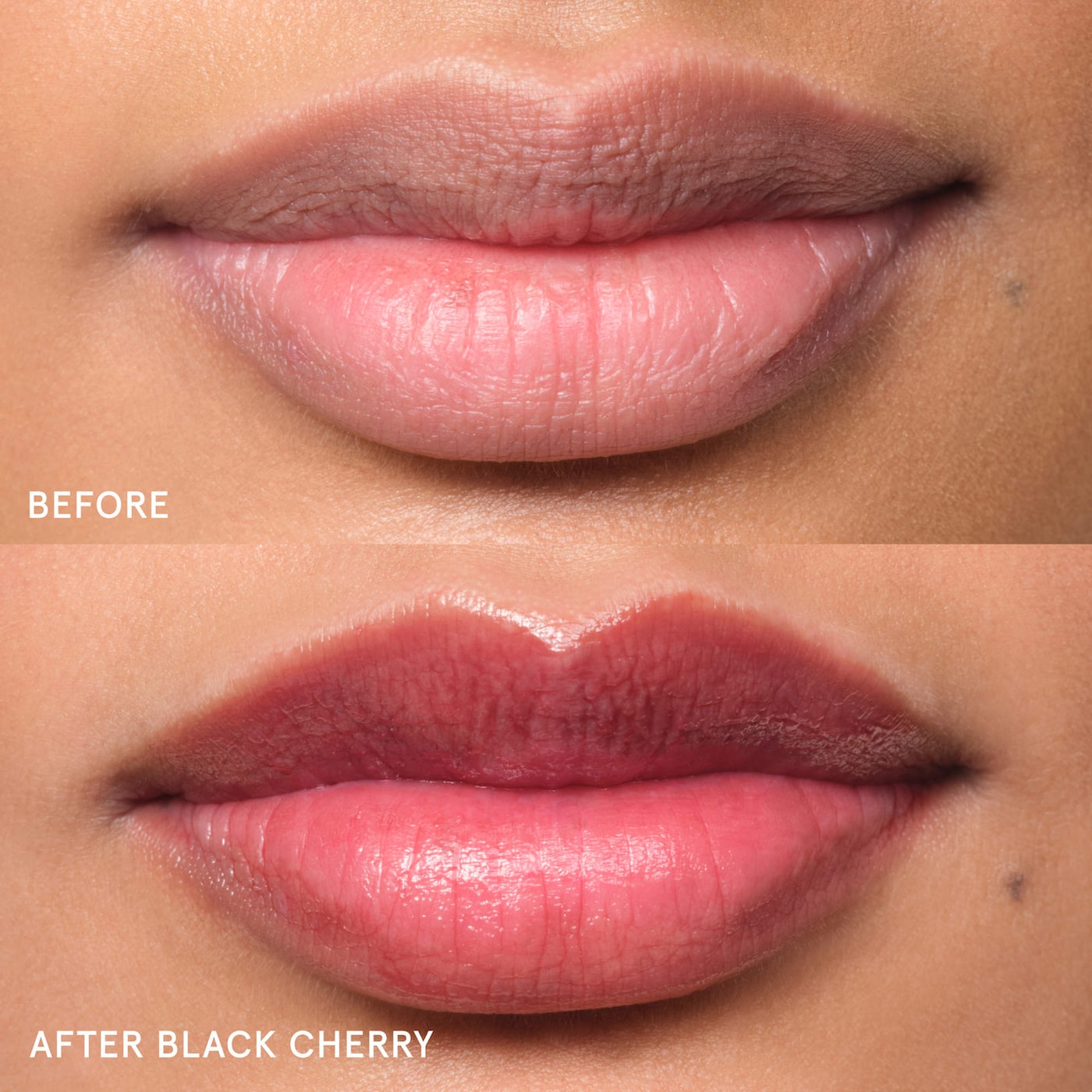 Balm Dotcom Lip Balm and Skin Salve