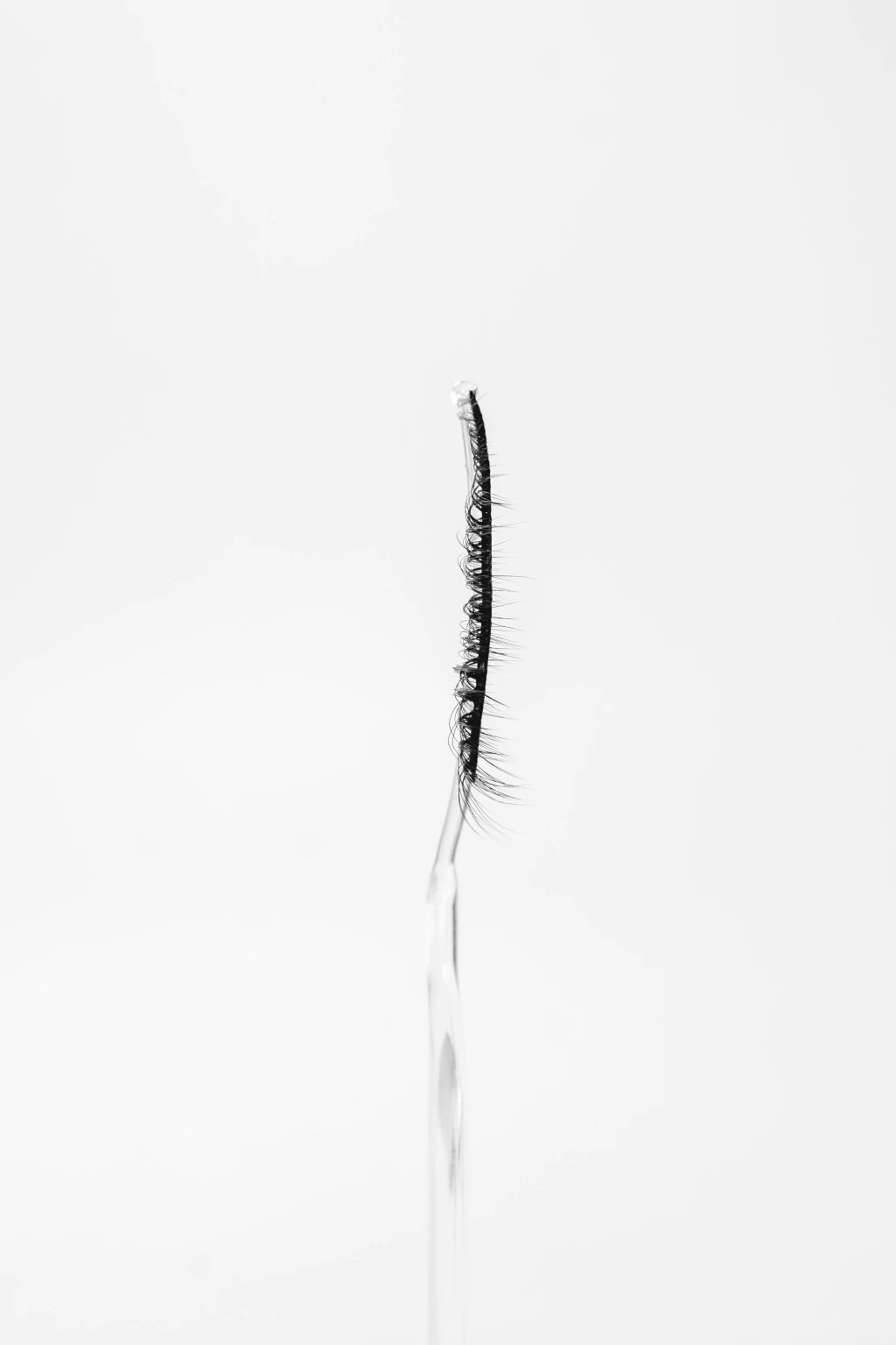 Pestañas Banda completa (10 Pares)