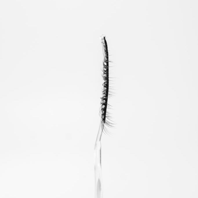 Pestañas Banda Completa (1 par)