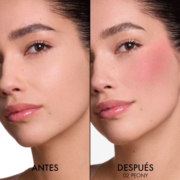 Dior Forever Blush Soft Filter